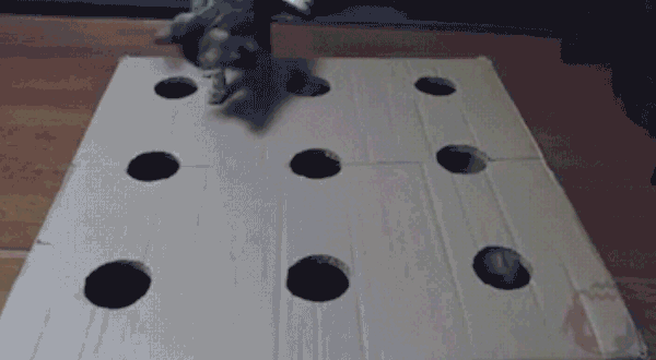 Cat plays whack-a-mole with logos